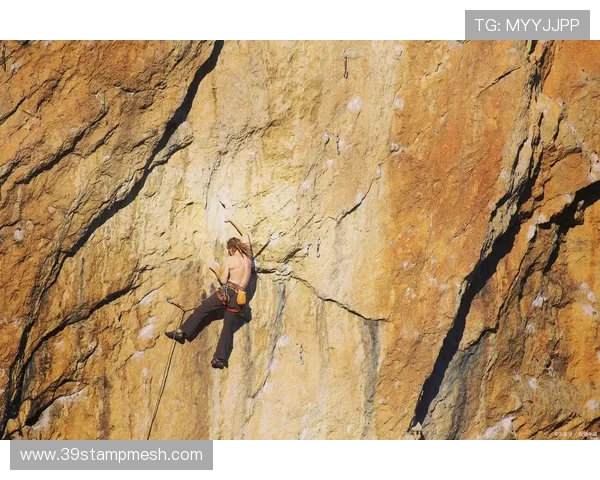 从零开始掌握攀岩技巧与战术全解析助你征服每一座岩壁